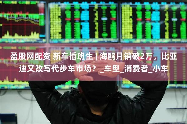 盈股网配资 新车插班生 | 海鸥月销破2万，比亚迪又改写代步车市场？_车型_消费者_小车