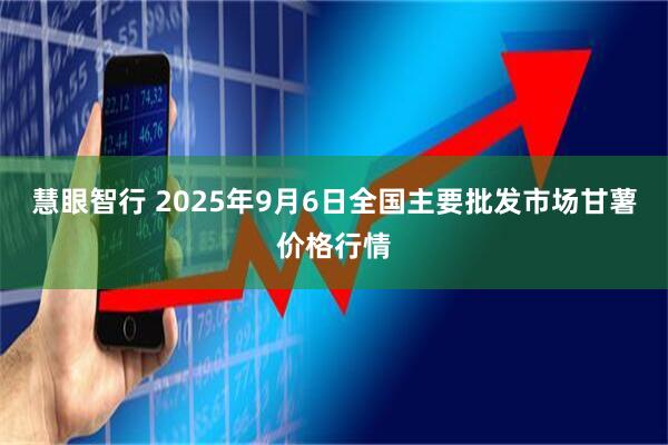 慧眼智行 2025年9月6日全国主要批发市场甘薯价格行情