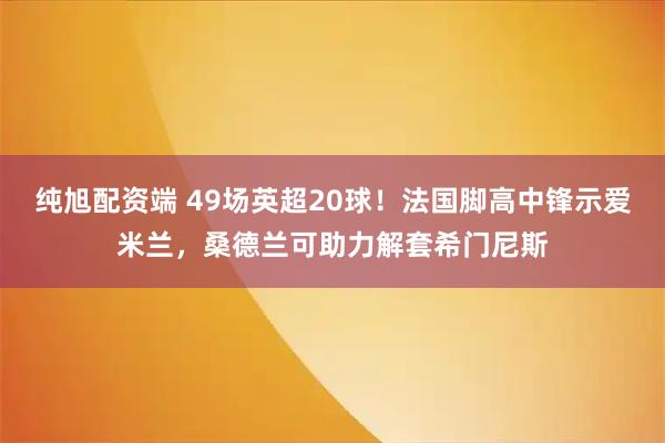 纯旭配资端 49场英超20球！法国脚高中锋示爱米兰，桑德兰可助力解套希门尼斯