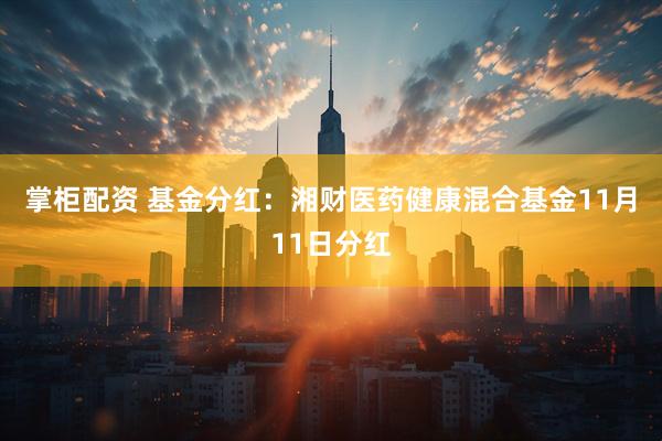 掌柜配资 基金分红：湘财医药健康混合基金11月11日分红