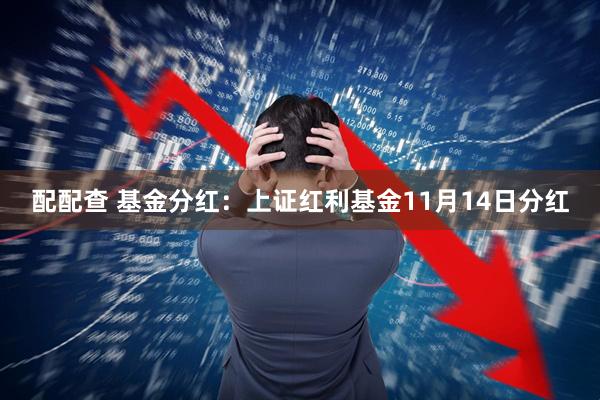 配配查 基金分红：上证红利基金11月14日分红