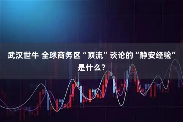 武汉世牛 全球商务区“顶流”谈论的“静安经验”是什么？