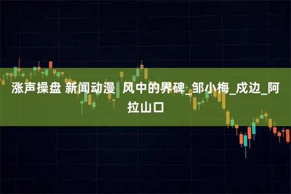 涨声操盘 新闻动漫  风中的界碑_邹小梅_戍边_阿拉山口