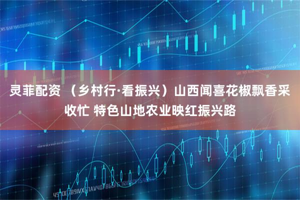灵菲配资 （乡村行·看振兴）山西闻喜花椒飘香采收忙 特色山地农业映红振兴路